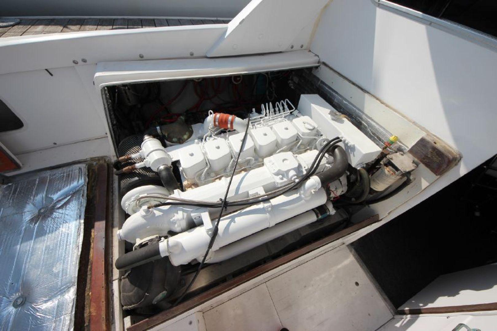 End Of The Line, Bertram Flybridge Cruiser 31'
