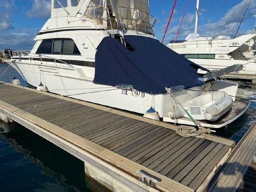Bertram 50'
