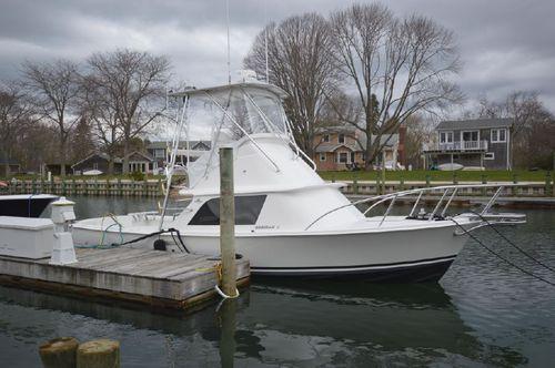 Miss Tonia, Bertram Flybridge Cruiser 31'