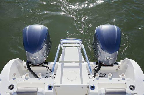 World Cat 295CC 29'