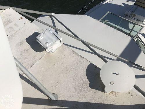 Bertram Special 38'