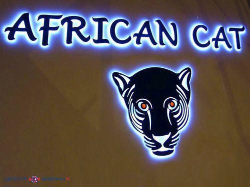 Yachtgraphx 3D Lettering Mangusta African Cat 130'