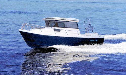 Arima Boats Sea Ranger HT 21'