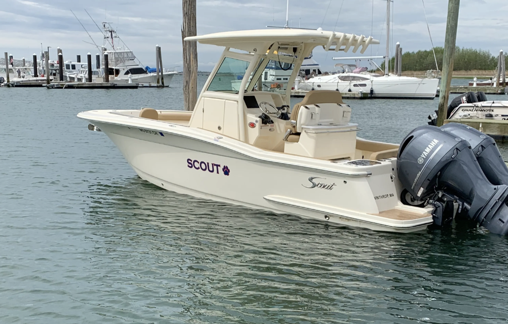 Scout – Scout 255′