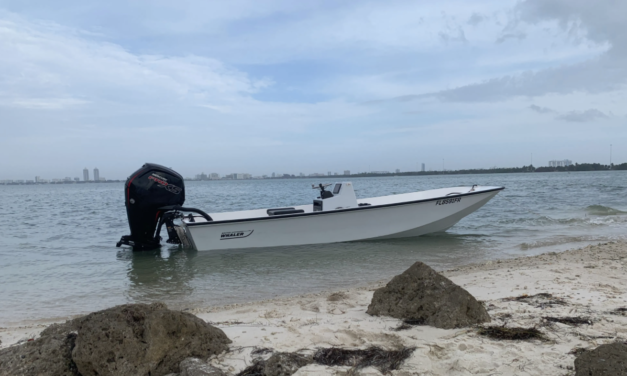 No Name – Boston Whaler 17′